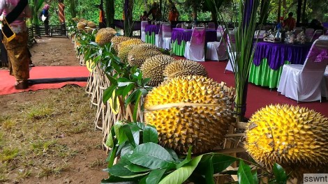 Durian Cabu 160131